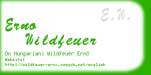 erno wildfeuer business card